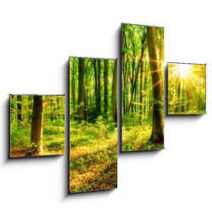 Obraz 4D tydln - 120 x 90 cm F_IB137096673 - Wald im Frhling mit Sonne - Les na jae se sluncem