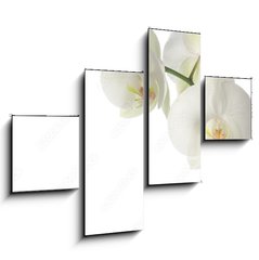 Obraz 4D tydln - 120 x 90 cm F_IB1377708 - white orchid