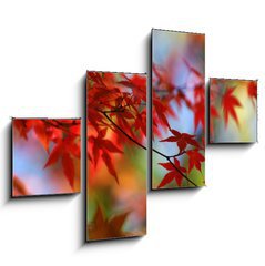Obraz 4D tydln - 120 x 90 cm F_IB138623 - japanese red maple in autumn