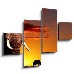 Obraz tydln 4D - 120 x 90 cm F_IB14132001 - African nature concept - Africk prodn koncept