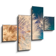 Obraz 4D tydln - 120 x 90 cm F_IB143134951 - white dandelion flower with seeds in springtime in blue turquoise abstract backgrouds