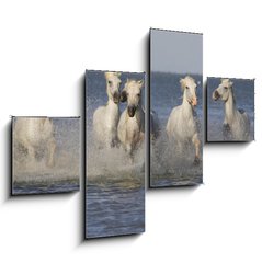 Obraz 4D tydln - 120 x 90 cm F_IB14879653 - Chevaux de Camargue