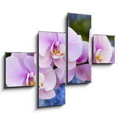 Obraz tydln 4D - 120 x 90 cm F_IB14941045 - Pink Orchid Flowers