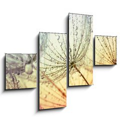 Obraz 4D tydln - 120 x 90 cm F_IB155375500 -  dandelion flower background