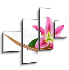 Obraz tydln 4D - 120 x 90 cm F_IB15641215 - Beautiful lily flower