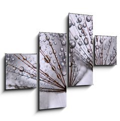 Obraz 4D tydln - 120 x 90 cm F_IB15712767 - dandelion seeds