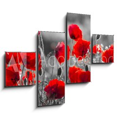 Obraz 4D tydln - 120 x 90 cm F_IB158374540 - red poppies, black and white