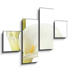 Obraz 4D tydln - 120 x 90 cm F_IB16158957 - White Calla Lilies