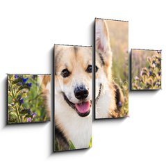 Obraz 4D tydln - 120 x 90 cm F_IB164383181 - Happy and active purebred Welsh Corgi dog outdoors in the flowers on a sunny summer day.