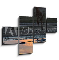 Obraz 4D tydln - 120 x 90 cm F_IB165634346 - animal