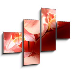 Obraz 4D tydln - 120 x 90 cm F_IB16571895 - Orchid red background