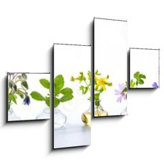 Obraz 4D tydln - 120 x 90 cm F_IB166862791 - Herbs for alternative medicine, natural cosmetics and kitchen