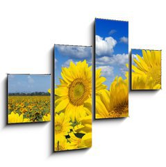 Obraz tydln 4D - 120 x 90 cm F_IB16872718 - Some yellow sunflowers against a wide field and the blue sky