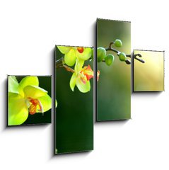 Obraz tydln 4D - 120 x 90 cm F_IB17174555 - Orchidee