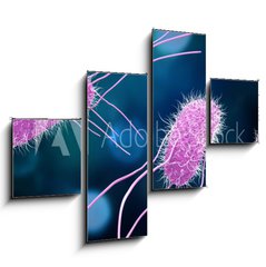 Obraz 4D tydln - 120 x 90 cm F_IB176894218 - 3D illustration of Salmonella Bacteria. Medicine concept.