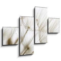 Obraz 4D tydln - 120 x 90 cm F_IB180759298 - Dandelion seed closeup