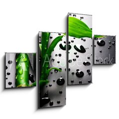 Obraz 4D tydln - 120 x 90 cm F_IB18901252 - Bamboo