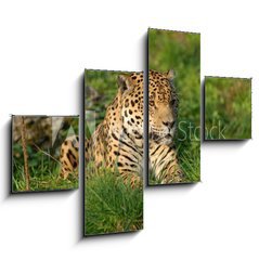 Obraz tydln 4D - 120 x 90 cm F_IB19063802 - Leopard