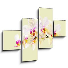 Obraz   Orchide, 120 x 90 cm
