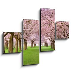 Obraz 4D tydln - 120 x 90 cm F_IB19656458 - Kirschgarten in voller Bl te