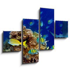 Obraz 4D tydln - 120 x 90 cm F_IB196736176 - colorful wide underwater coral reef panorama banner background with many fishes turtle and marine life / Unterwasser Korallenriff breit Hintergrund