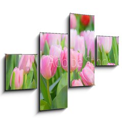 Obraz 4D tydln - 120 x 90 cm F_IB197459924 - Tulip Flower in the Garden.,Nature background.