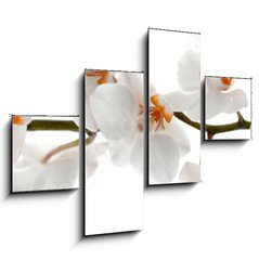 Obraz 4D tydln - 120 x 90 cm F_IB201049079 - Orchid branch with flowers