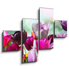 Obraz tydln 4D - 120 x 90 cm F_IB20169360 - Beautiful spring flowers, tulips - Krsn jarn kvtiny, tulipny