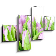 Obraz tydln 4D - 120 x 90 cm F_IB20187394 - Violet tulips isolated on white background