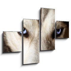 Obraz   Close view of blue eyes of an Husky or Eskimo dog., 120 x 90 cm