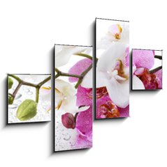 Obraz 4D tydln - 120 x 90 cm F_IB212597911 - Beyaz ve Pembe Orkide Panoramik