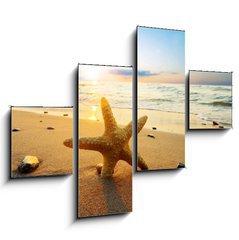 Obraz tydln 4D - 120 x 90 cm F_IB21858060 - Starfish on the beach