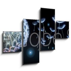 Obraz 4D tydln - 120 x 90 cm F_IB220799750 - Pusteblumen und Glhwrmchen