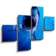 Obraz 4D tydln - 120 x 90 cm F_IB222972216 - 3d rendered illustration of a great white shark