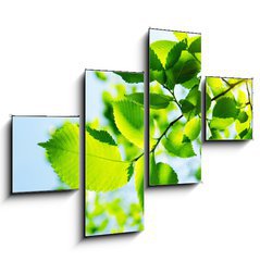 Obraz tydln 4D - 120 x 90 cm F_IB23167480 - Green leaves with sun ray