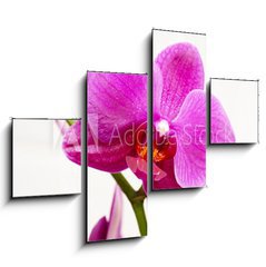 Obraz 4D tydln - 120 x 90 cm F_IB23400240 - orchid