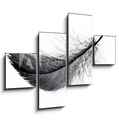 Obraz 4D tydln - 120 x 90 cm F_IB234006556 - Single black floating feather on white background.