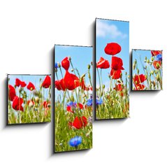 Obraz 4D tydln - 120 x 90 cm F_IB23892444 - blumenwiese