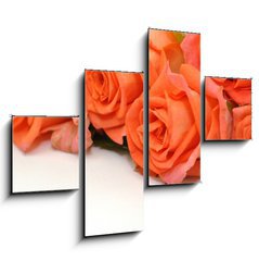 Obraz tydln 4D - 120 x 90 cm F_IB24150167 - Rosen