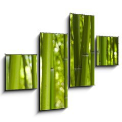 Obraz 4D tydln - 120 x 90 cm F_IB24255297 - Bambus Bamboo 06