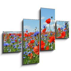 Obraz tydln 4D - 120 x 90 cm F_IB24598223 - Feldblumen am Wegesrand