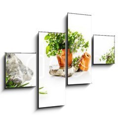 Obraz 4D tydln - 120 x 90 cm F_IB247543142 - Marjoram, oregano, rosemary garden herbs set