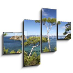 Obraz tydln 4D - 120 x 90 cm F_IB24971446 - PINS MARITIMES, PLAGE DE LA PALUD, ROCHER DU RASCAS, PORT-CROS,