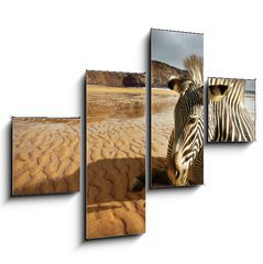 Obraz tydln 4D - 120 x 90 cm F_IB25254470 - Beach Zebra - Pl zebra