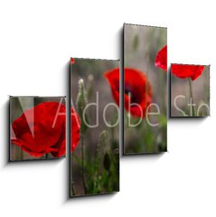 Obraz 4D tydln - 120 x 90 cm F_IB254517671 - Red poppy on green weeds field. Poppy flowers.Close up poppy head. red poppy. Papaver rhoeas