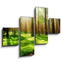 Obraz 4D tydln - 120 x 90 cm F_IB25769239 - Misty Old Forest - Mlnsk star les