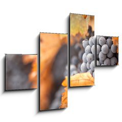 Obraz tydln 4D - 120 x 90 cm F_IB26469796 - Lush, Ripe Wine Grapes with Mist Drops on the Vine