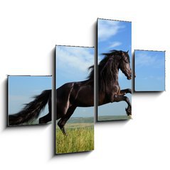 Obraz 4D tydln - 120 x 90 cm F_IB26473191 - beautiful black horse playing on the field