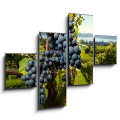 Obraz tydln 4D - 120 x 90 cm F_IB26496881 - ripe Purple Grapes