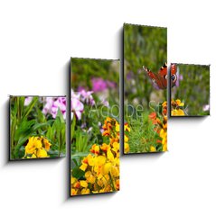 Obraz 4D tydln - 120 x 90 cm F_IB270234629 - Schmetterling 578